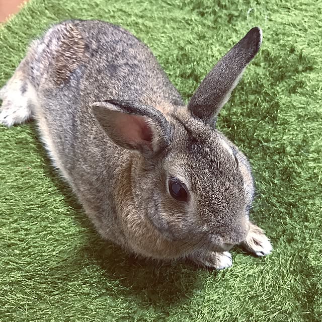 keynoteさんの実例写真
