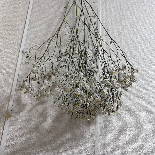 Shochanさんの実例写真