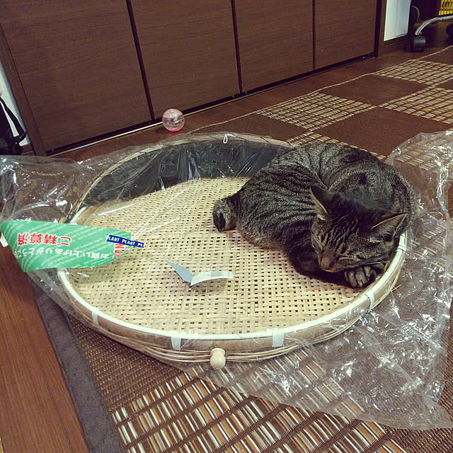 Mikaさんの実例写真