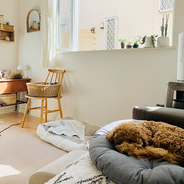 mogさんの実例写真