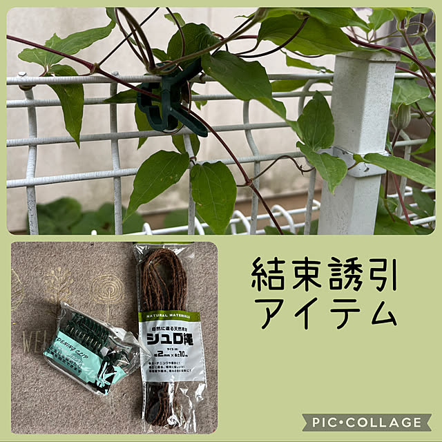 CoCo0617さんの部屋