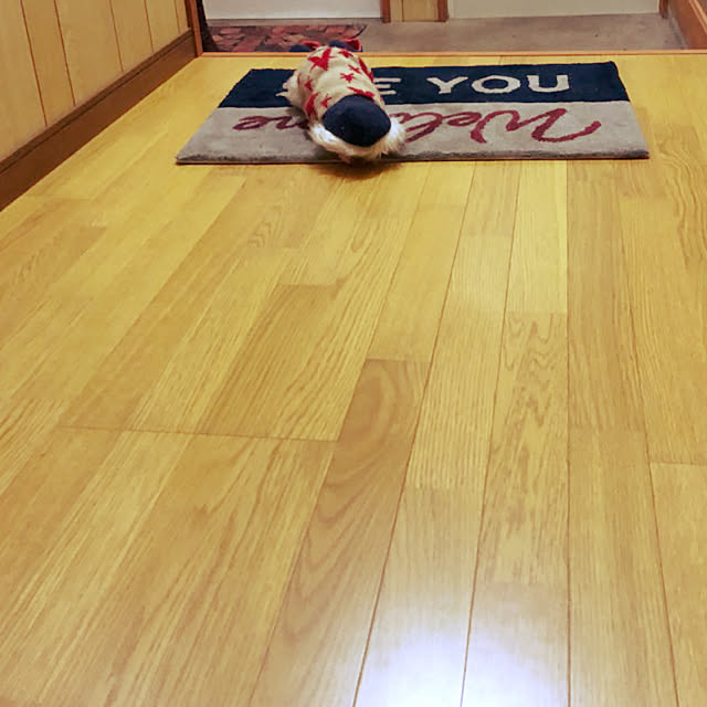 Yukaさんの実例写真