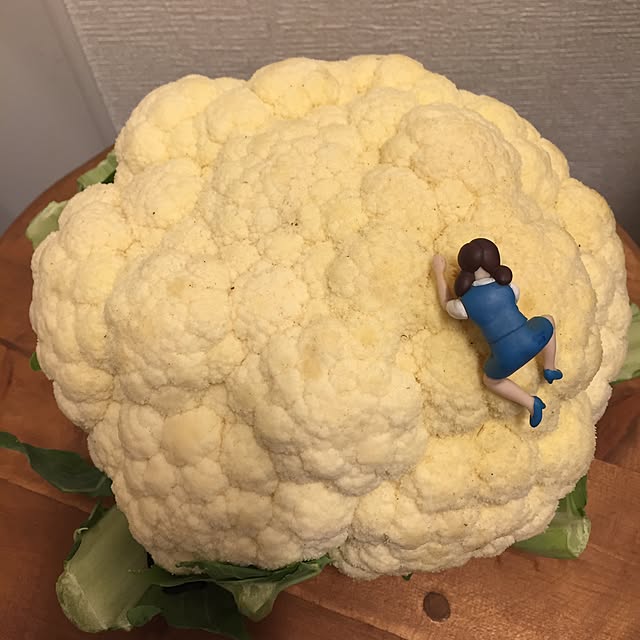k-grainさんの実例写真