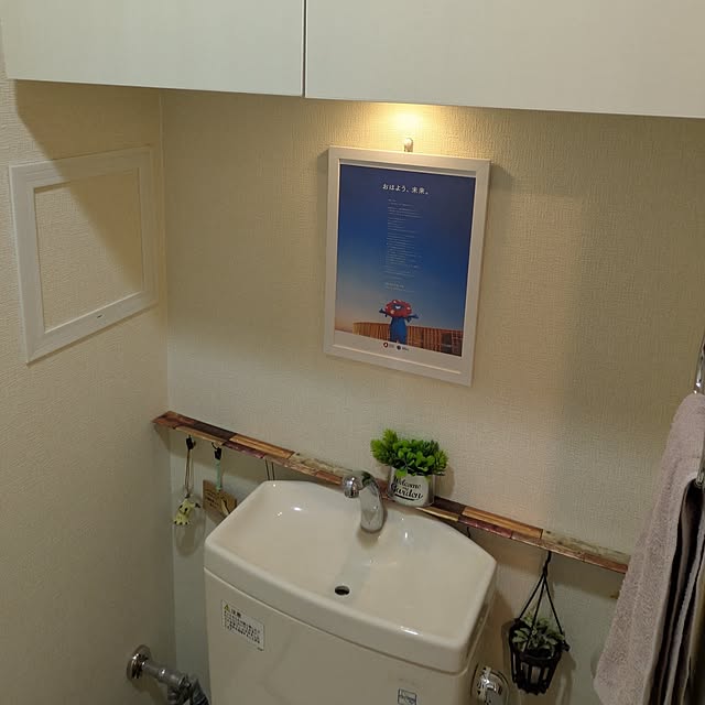 Sgt.pepperさんの実例写真