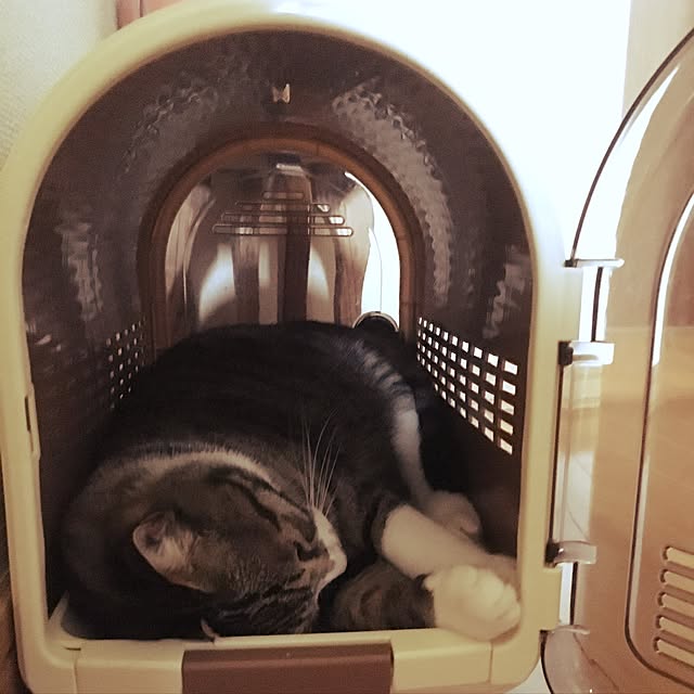 kimikimiさんの実例写真