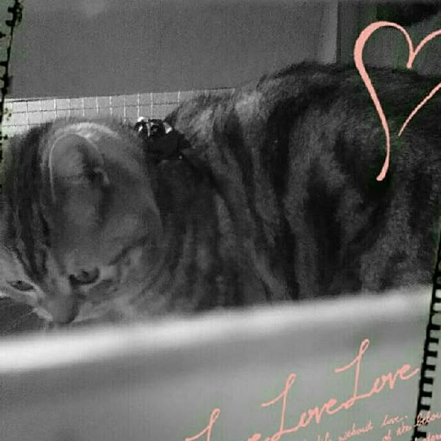 LittleMyさんの実例写真