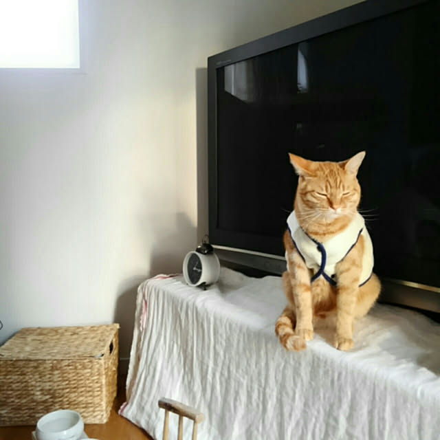 mayutan.さんの実例写真