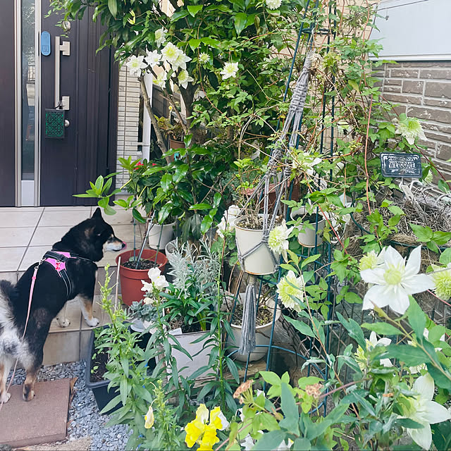 mo-nosukeさんの部屋