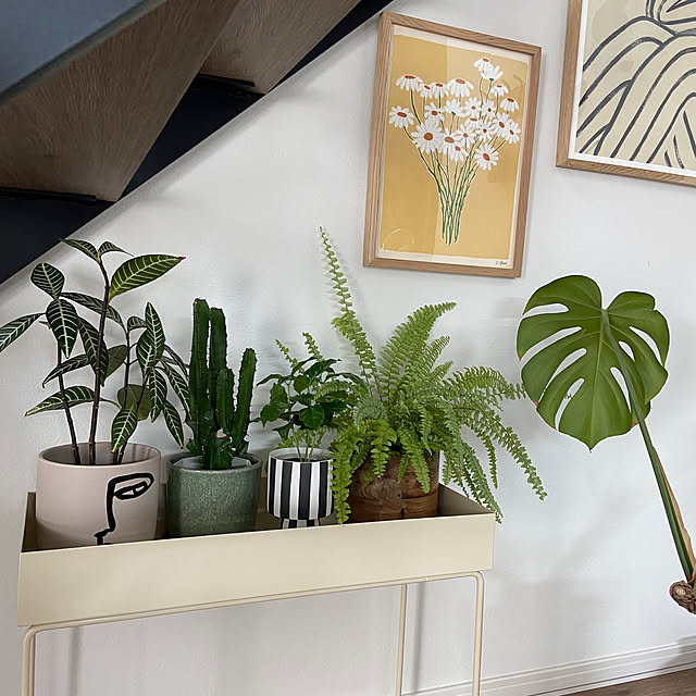 kahomeさんの部屋