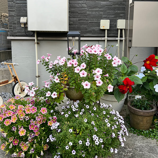 coraruさんの部屋