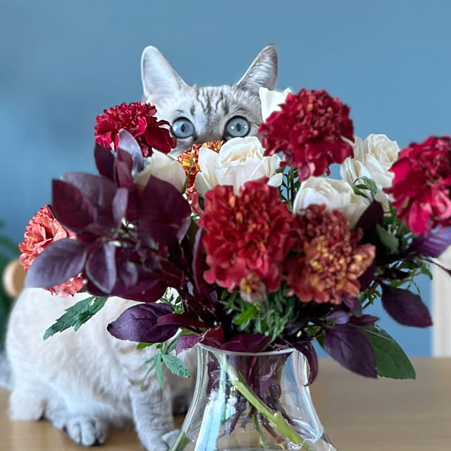 amさんの実例写真