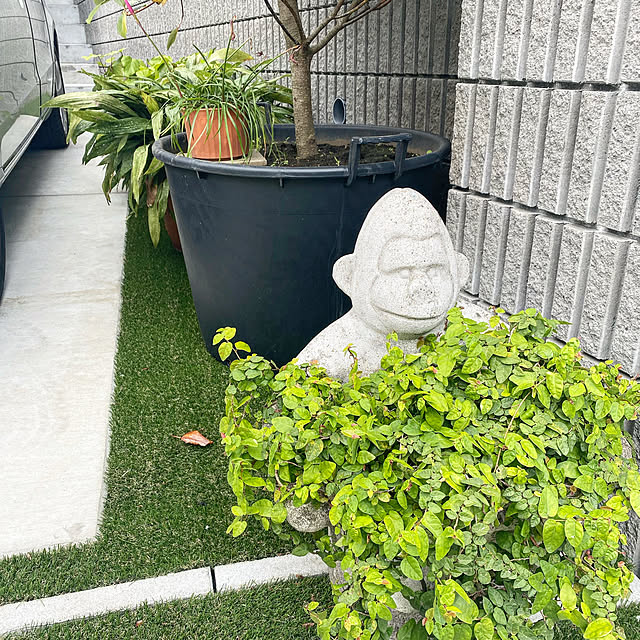 myaoさんの実例写真