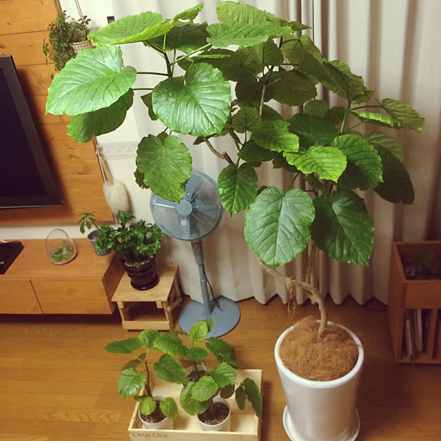 yukaさんの実例写真