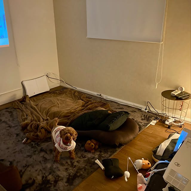 MOMOMAMAさんの実例写真