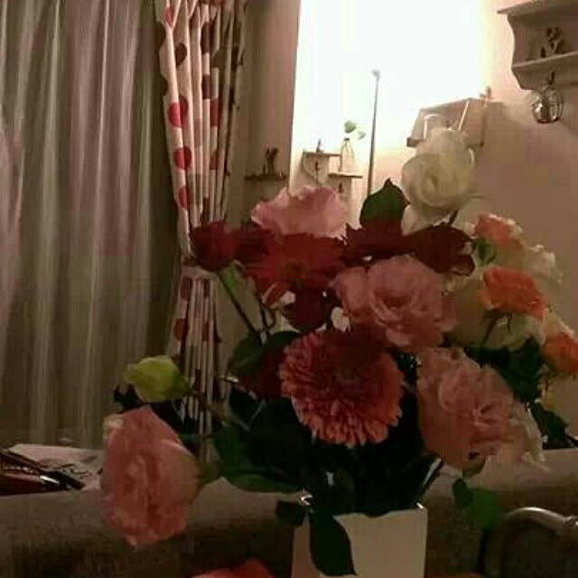 misatoさんの実例写真