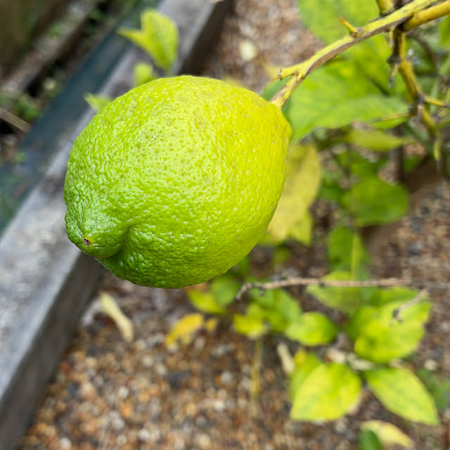 ayayayayaさんの部屋