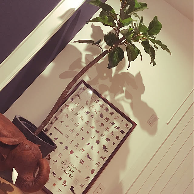 tk_ouchiさんの実例写真