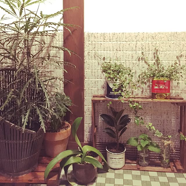 実例写真