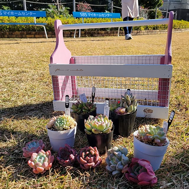 fuafuaさんの実例写真