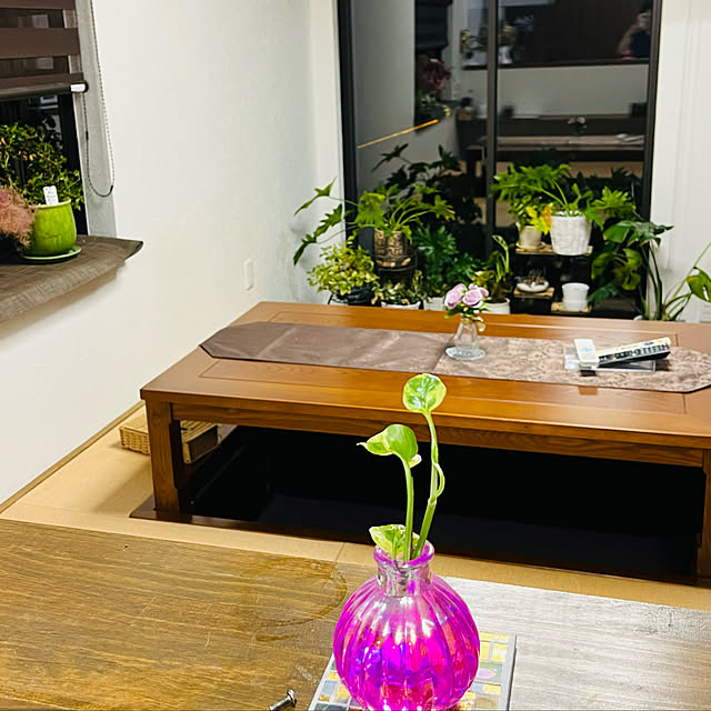 masaさんの実例写真