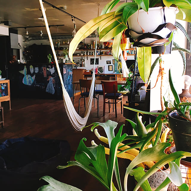 部屋全体/足場板古材/観葉植物/マンションリノベーション/アンティーク...などのインテリア実例 - 2018-04-26 10:00:20
