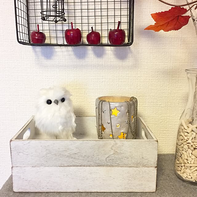 Kaneyukiさんの実例写真