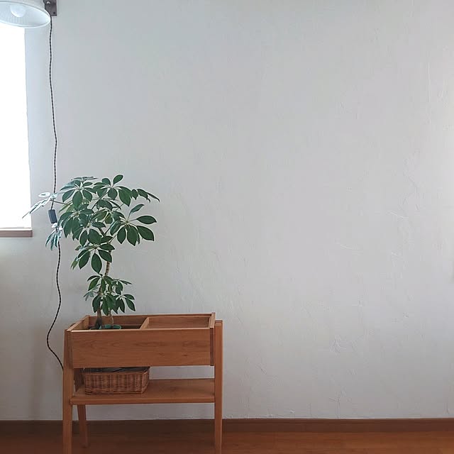Mi-koさんの実例写真