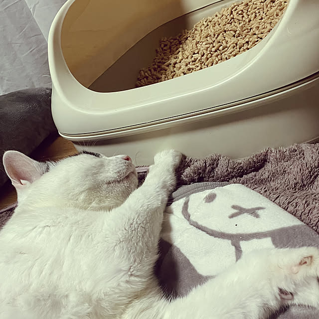 nekosamaさんの部屋