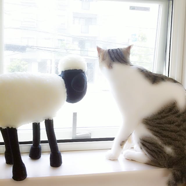 myu_iさんの実例写真