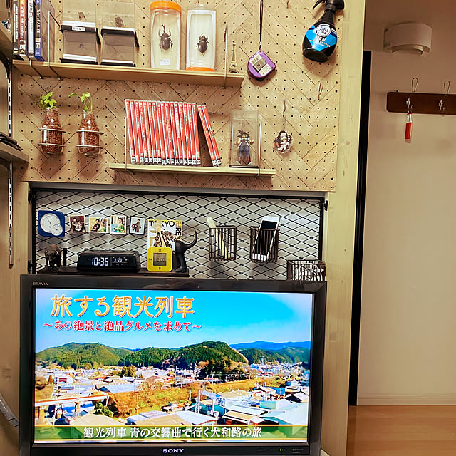koshiregutyoさんの部屋