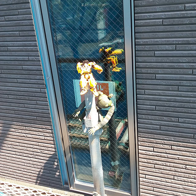 acyakoさんの実例写真