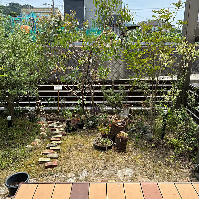 ayayayayaさんの部屋