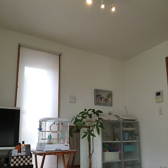 nikanika1206さんの実例写真