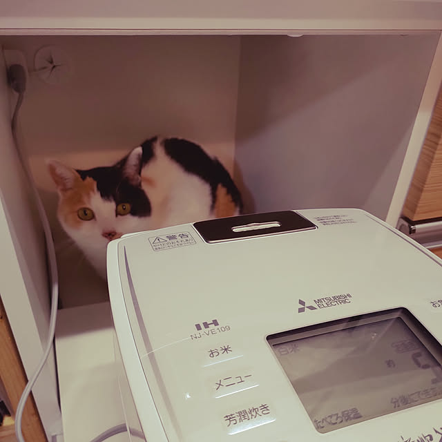 nanana713さんの実例写真