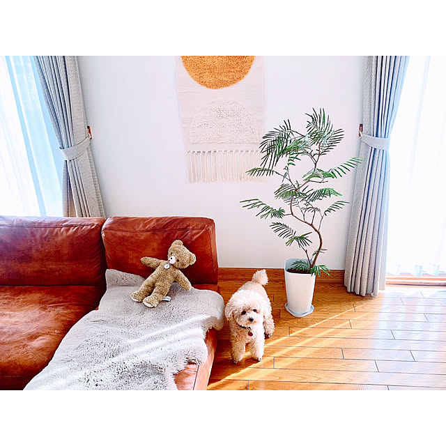 teaさんの実例写真