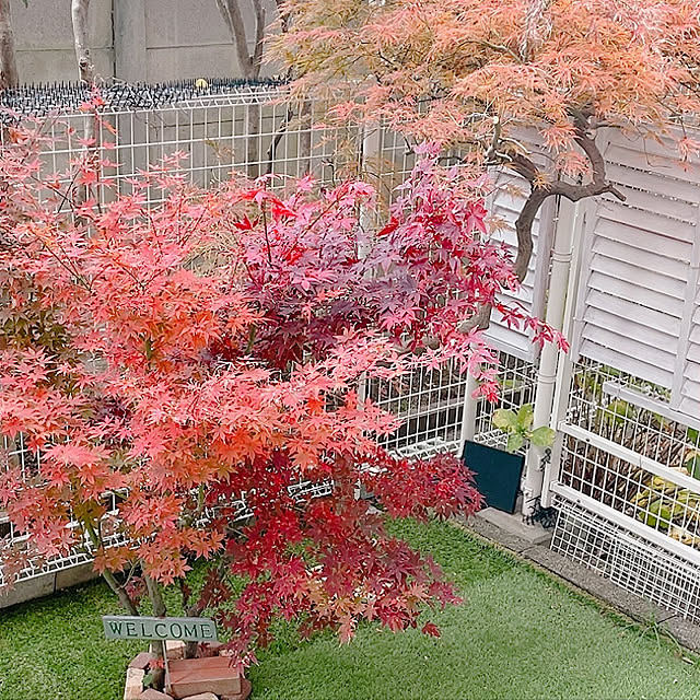 Rumakさんの実例写真