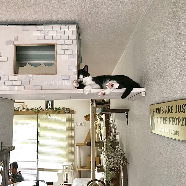 kazaneさんの実例写真