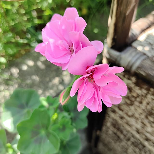 kiraさんの部屋