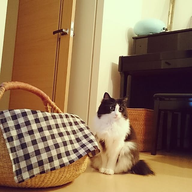 sumosarozaさんの実例写真