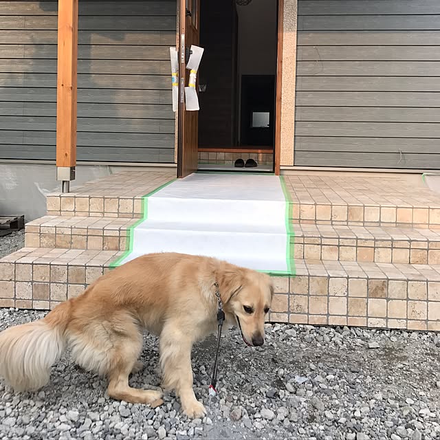fukugakitaさんの実例写真