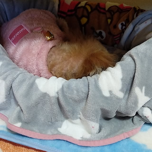 makayokoさんの部屋