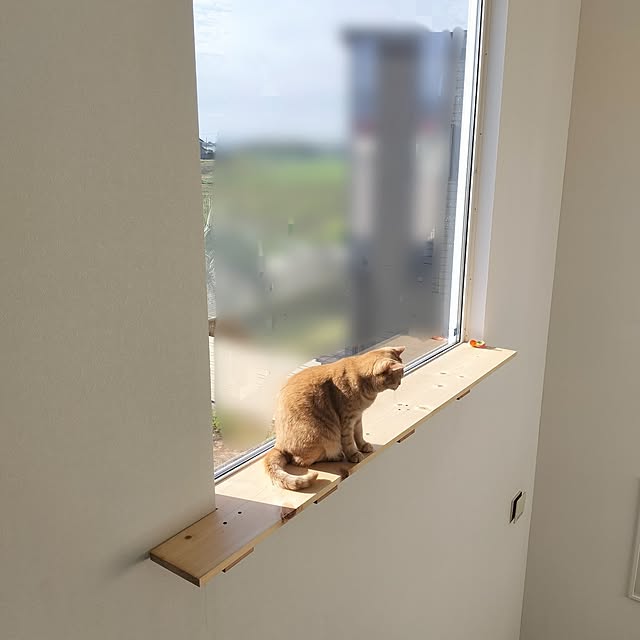 ayumiさんの実例写真