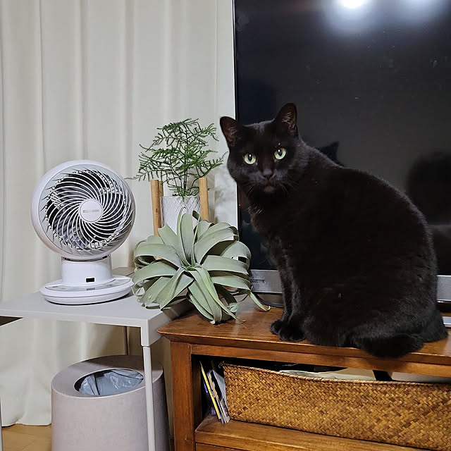 naru2014さんの実例写真
