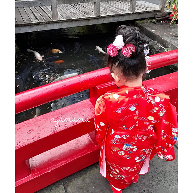 実例写真