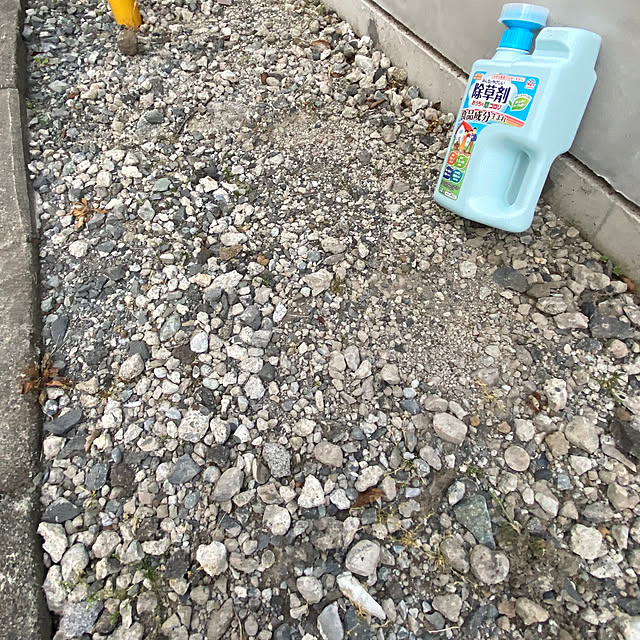 senbei.sakuramochiさんの実例写真