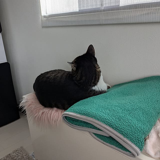 nrさんの部屋