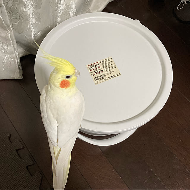 toratanさんの実例写真
