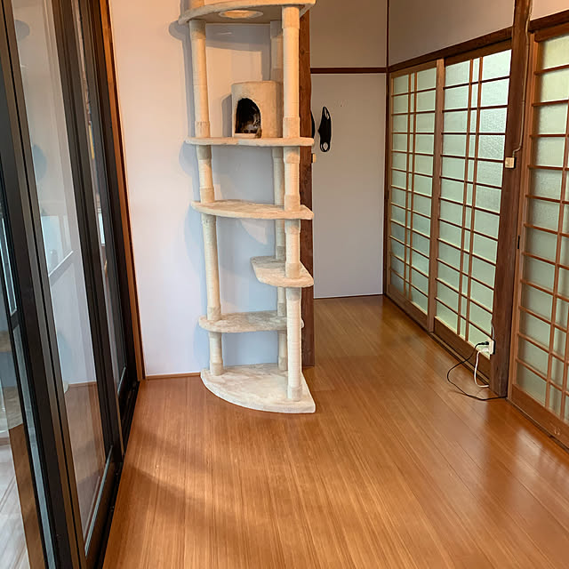 KUMIさんの実例写真