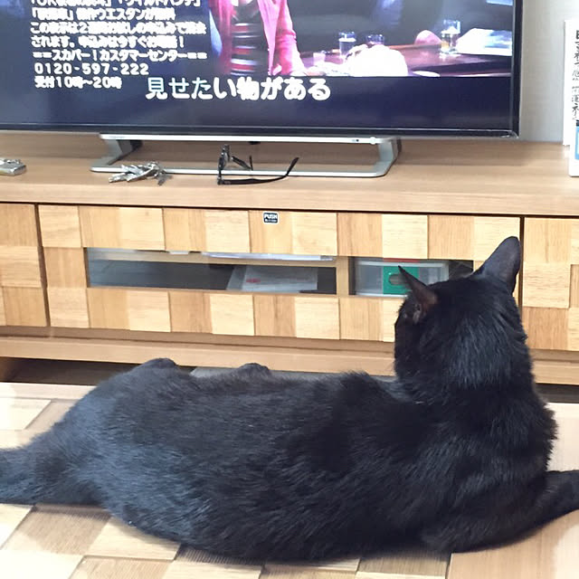 fuminさんの実例写真