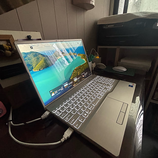 momocchiさんの実例写真